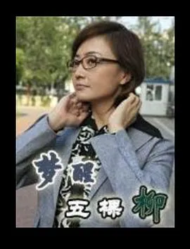梦醒五棵柳[电影解说]